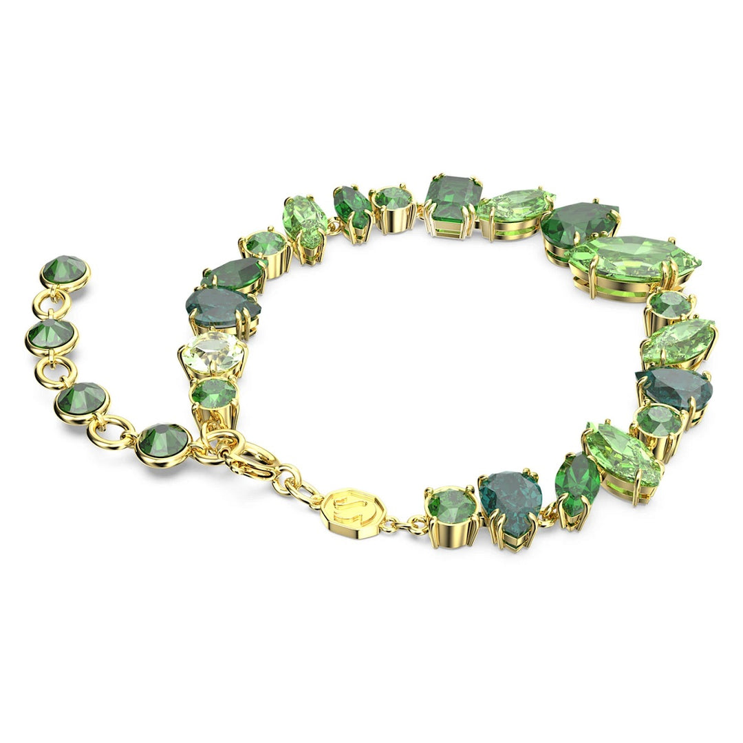 Swarovski Gema Bracelet - Green with Gold Tone Plating