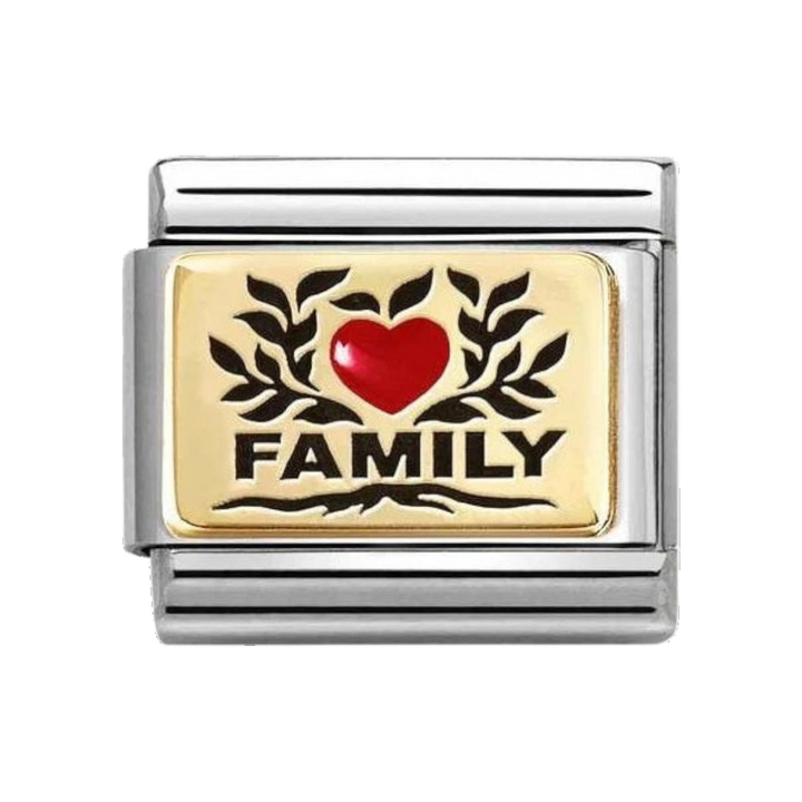 Nomination Stainless Steel and 18k Gold with Red Enamel Heart Family Charm 030289/07