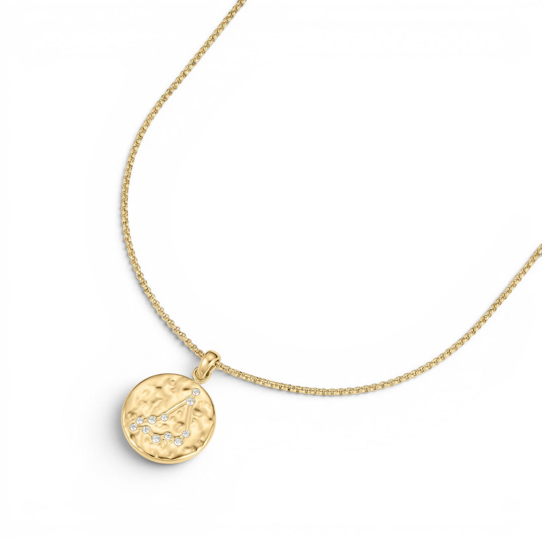 D.Louise Zodiac Talisman Gold Necklace - Capricorn
