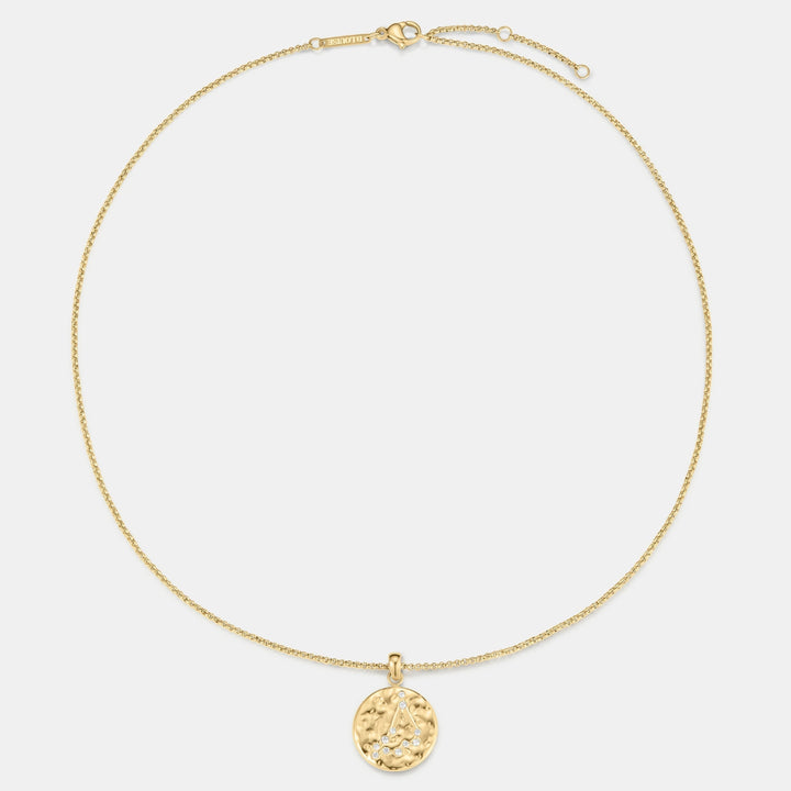 D.Louise Zodiac Talisman Gold Necklace - Capricorn close up