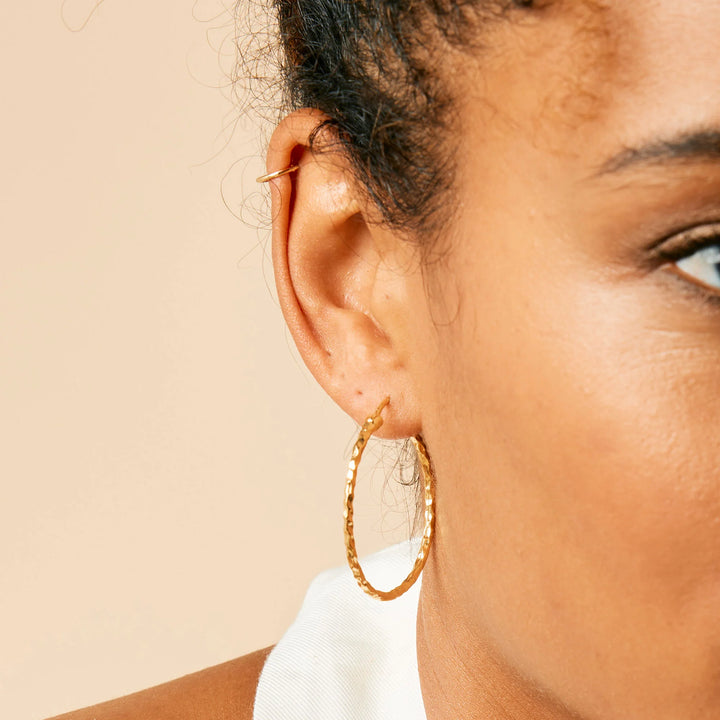 Charlotte's Web Jodhpur Hammered Hoop Earrings - Gold