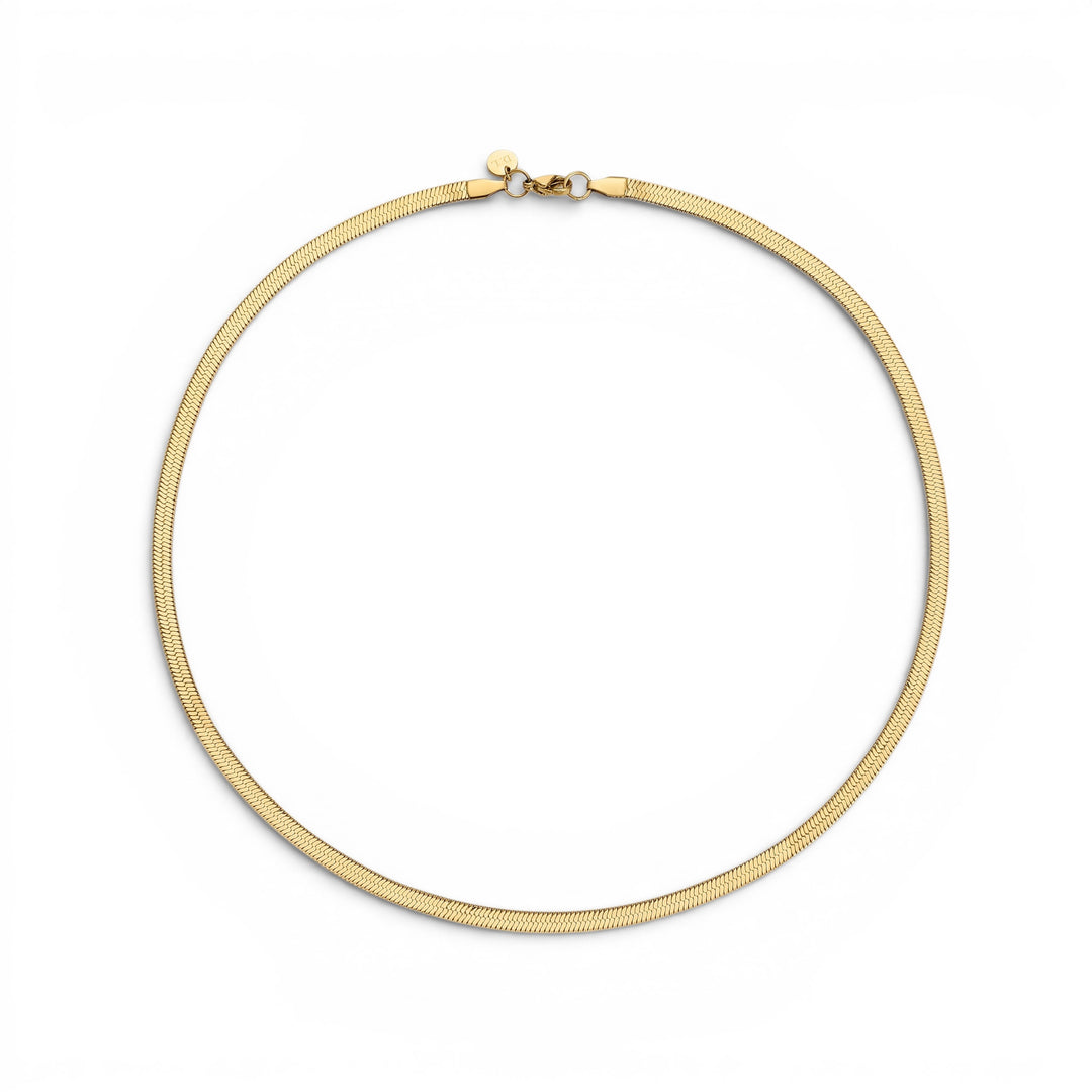 D.Louise Essentials Snake Chain Gold Necklace