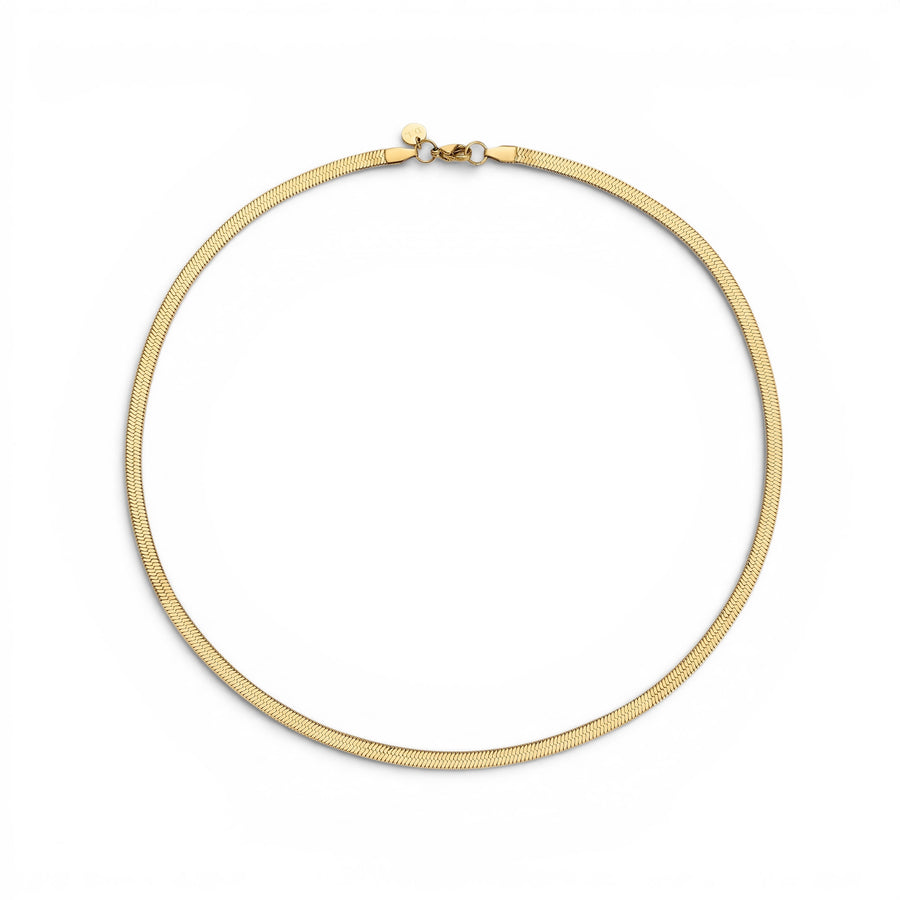D.Louise Essentials Snake Chain Gold Necklace