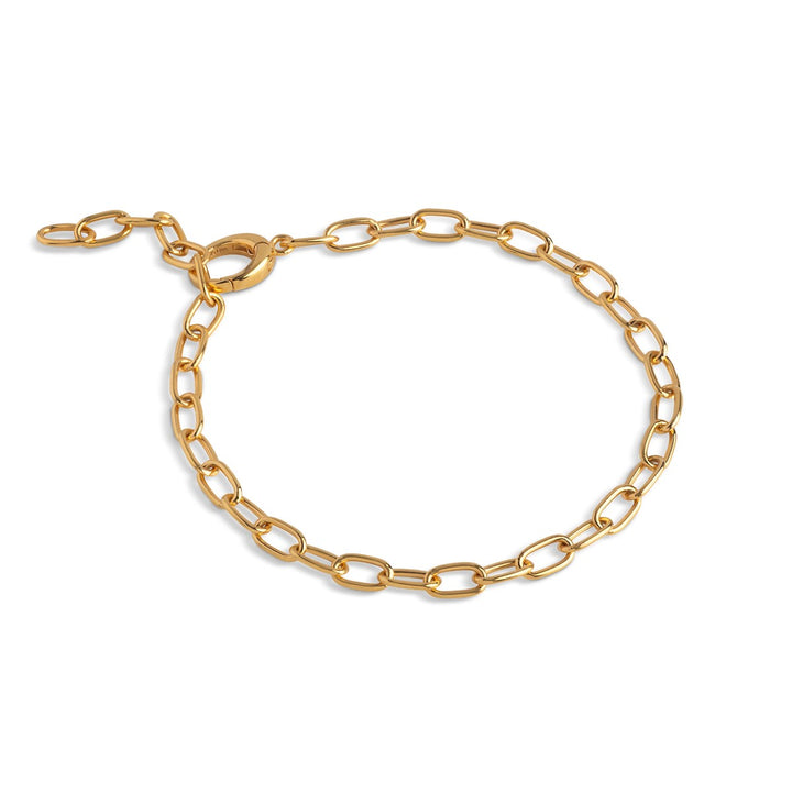 Enamel Copenhagen Medium Gold Charm Bracelet B143G