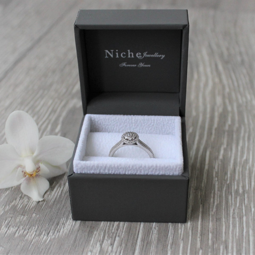 Round Brilliant Diamond Halo Ring with Double Band