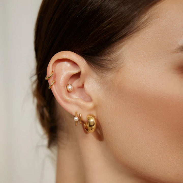 Ania Haie Chubby Medium Huggie Hoop Gold Earrings - E064-06G