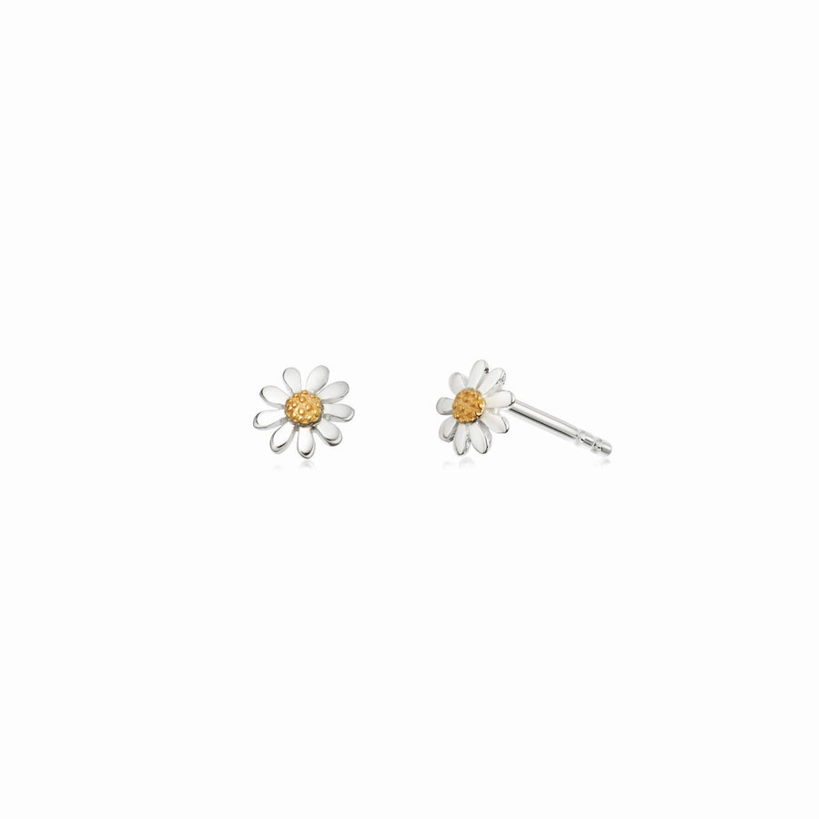 Daisy Marguerite Daisy Stud Earrings - Silver E4001