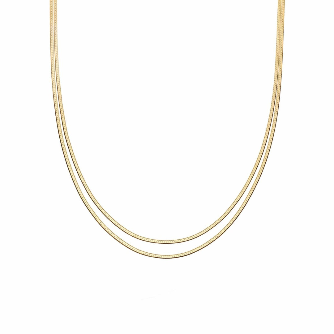 Daisy Estee Lalonde Parallel Snake Chain Neckalce - Gold  3ELN26_GP