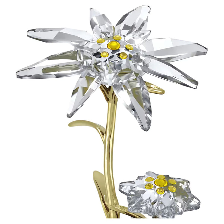 Swarovski Crystal Florere 130th Anniversary Bell Jar - 5701376