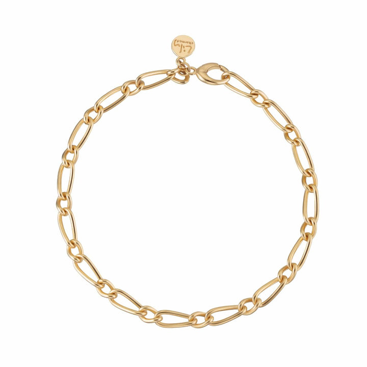 Lily Charmed My Story Charm Collector Bracelet Gold - item number CBRGMYSTY
