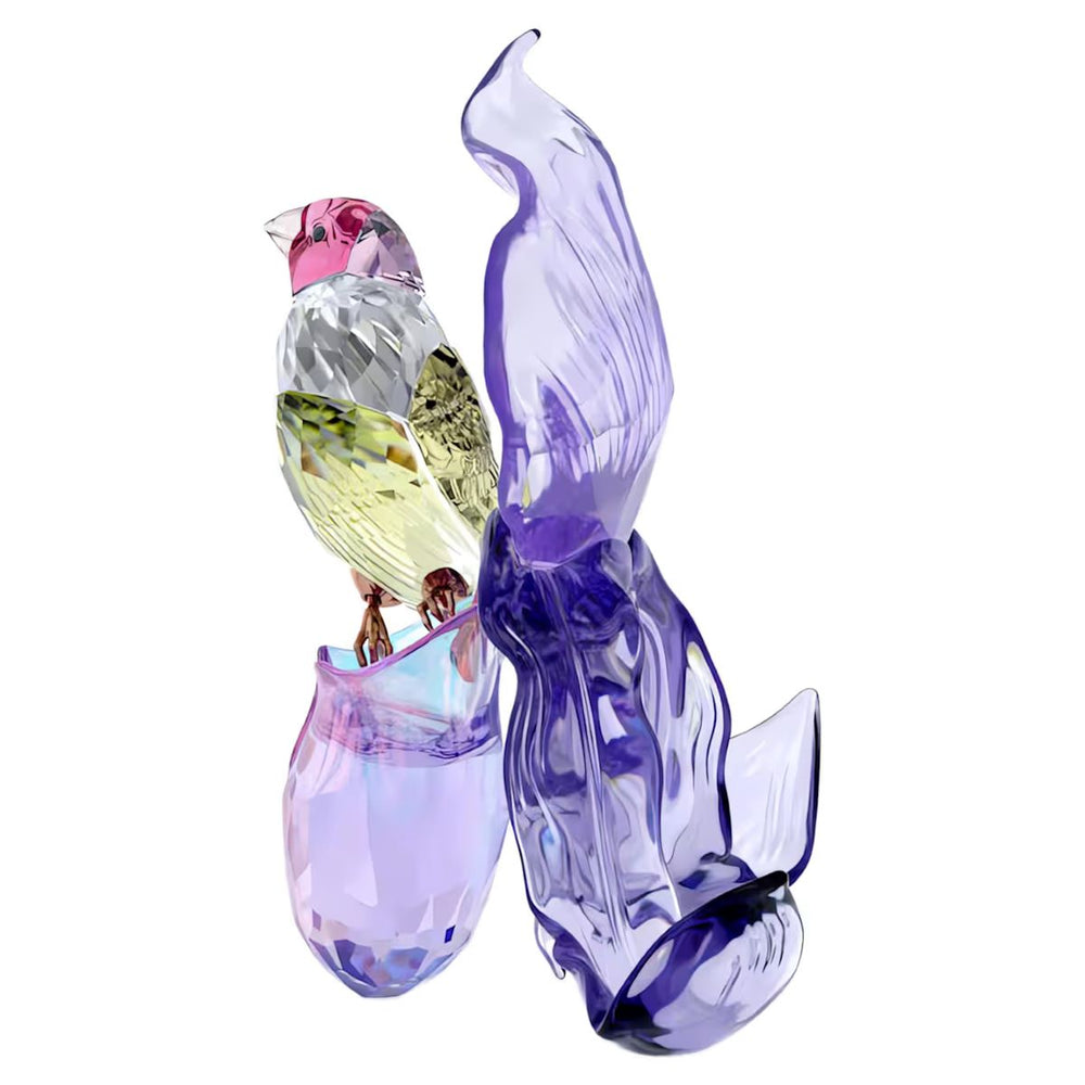 Swarovski Crystal Idyllia - Gouldian Finch and Orchid - 5675211