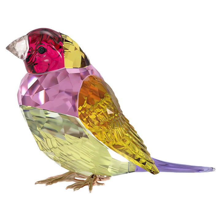 Swarovski Idyllia SCS Gouldian Finch - Large 5689265