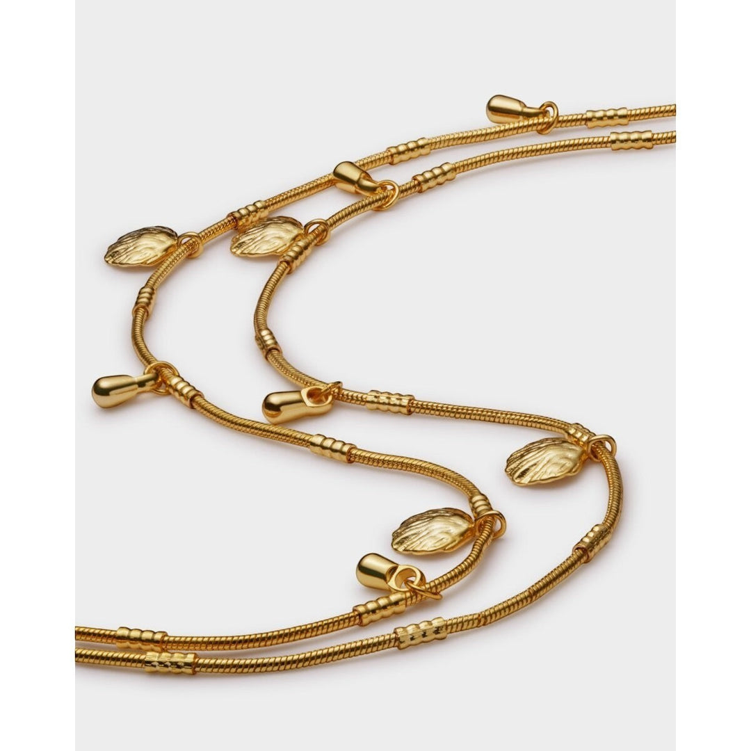 Niche Jewellery Katie Loxton Cochellia gold anklet with shell charms and bead details. Waterproof.