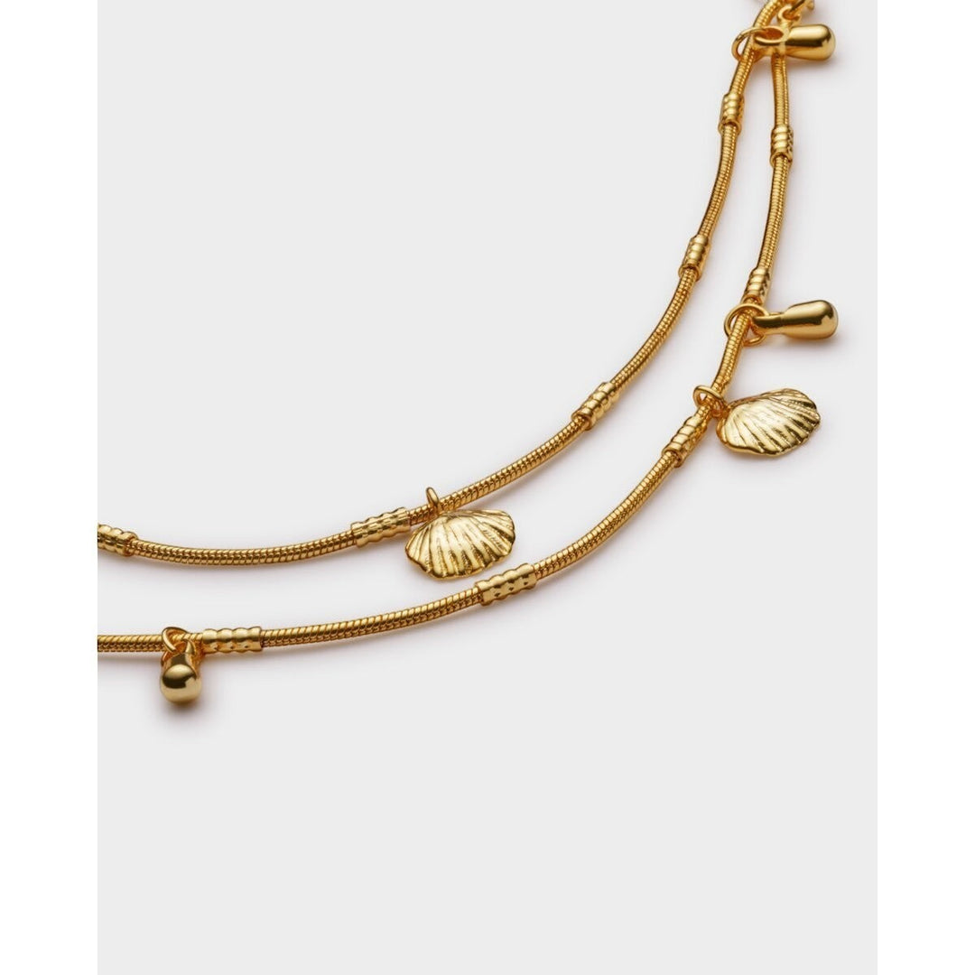 Niche Jewellery Katie Loxton Cochellia gold anklet with shell charms and bead details. Waterproof.