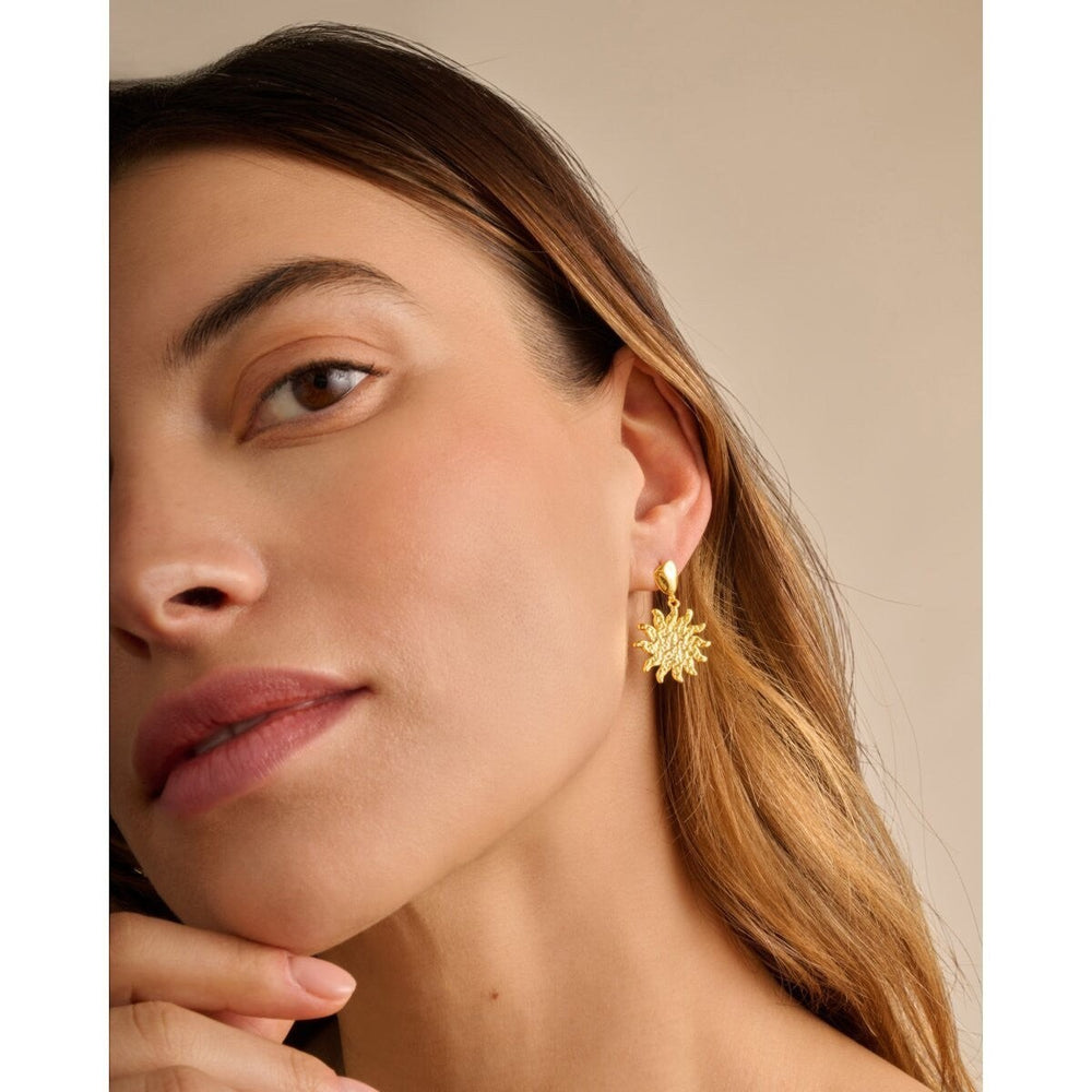 Niche Jewellery: Katie Loxton Solesi Sun Waterproof Gold Earrings featuring a textured sun charm with 18K Gold PVD coating.