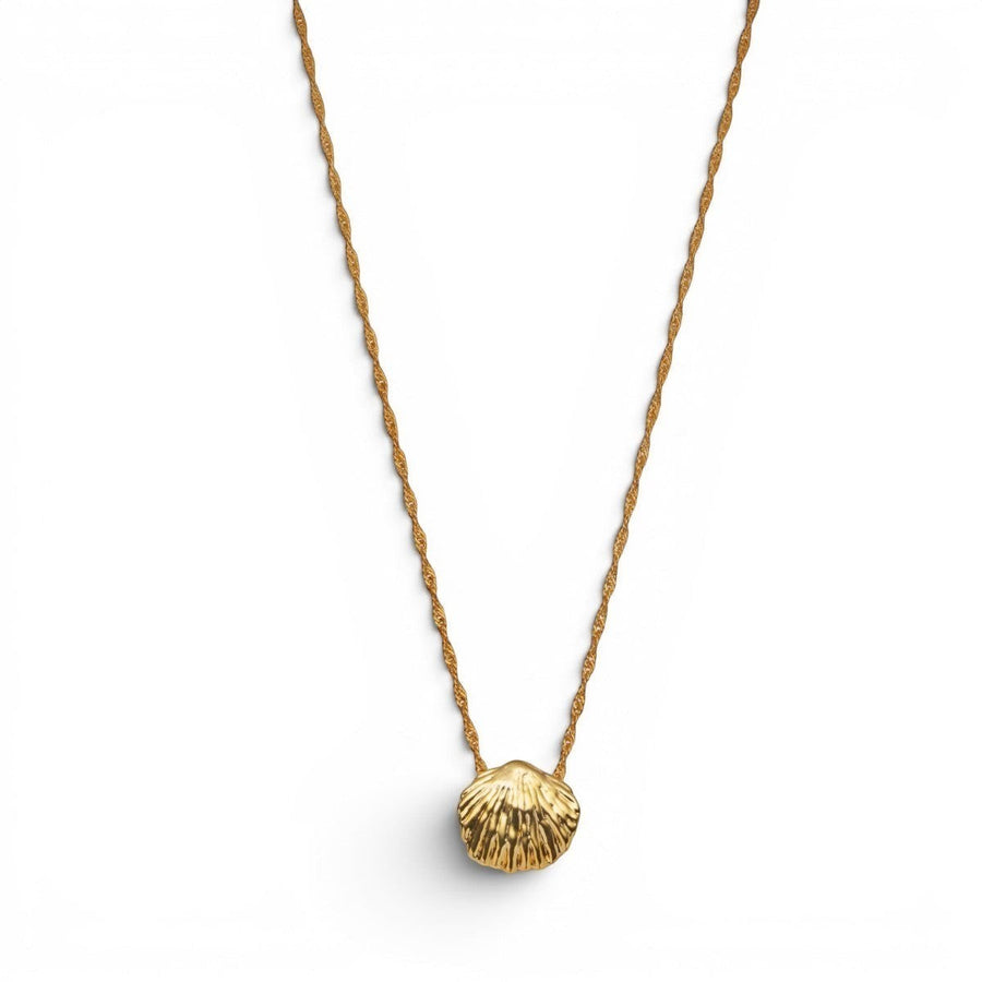 Niche Jewellery Katie Loxton Cochellia Twist gold necklace with shell charm, 18K gold PVD coating, waterproof.