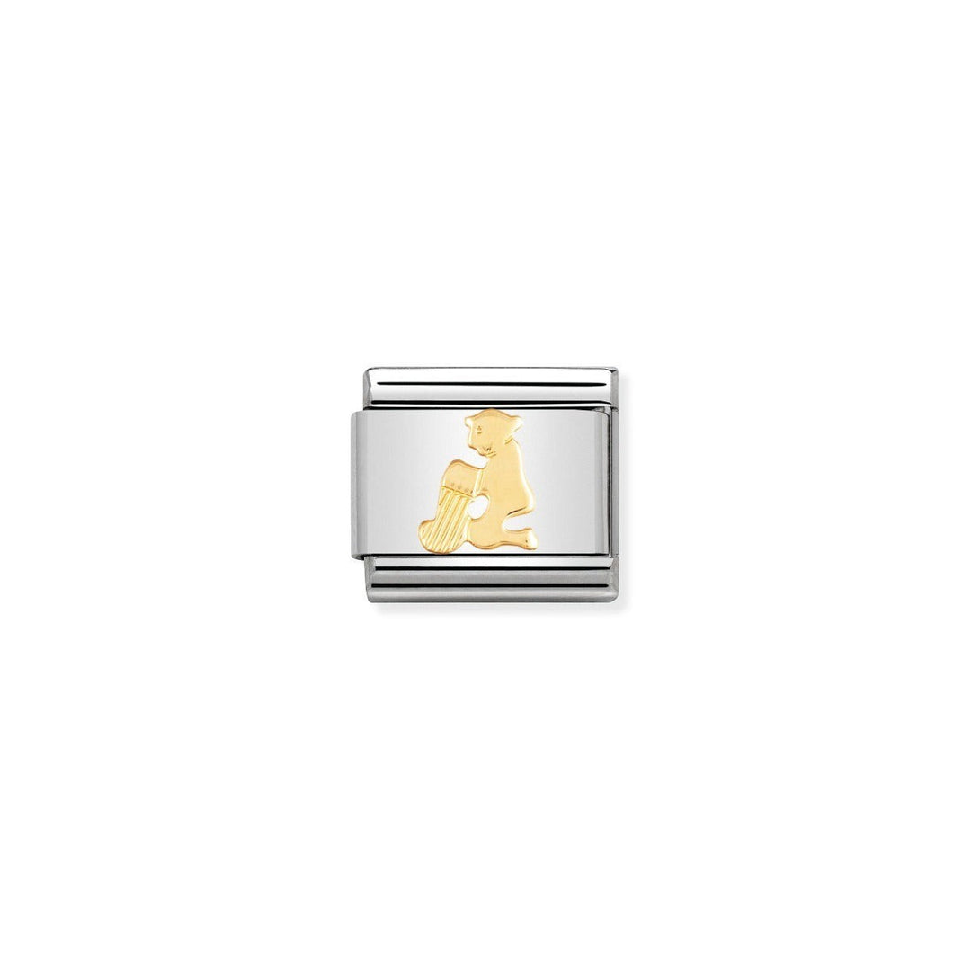 Niche Jewellery stainless steel charm with 18k gold Aquarius water bearer symbol.