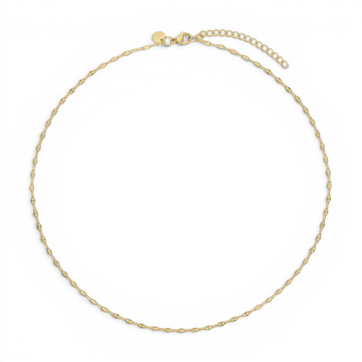 Niche Jewellery D.Louise dainty gold chain necklace in waterproof tarnish-free stainless steel with lobster clasp
