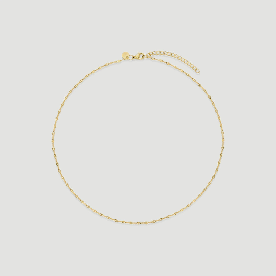 Niche Jewellery D.Louise dainty gold chain necklace in tarnish-free stainless steel with a delicate link design.
