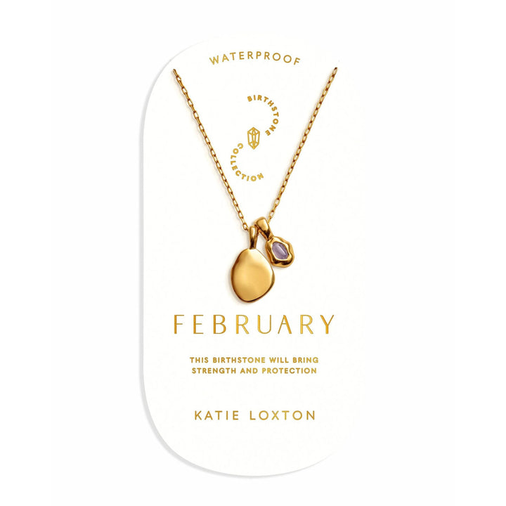 Niche Jewellery Katie Loxton February birthstone necklace featuring a purple stone and gold pendant on a fine chain.