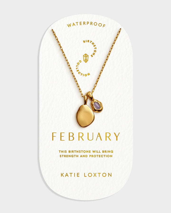Niche Jewellery Katie Loxton February birthstone necklace featuring a gold-tone chain, organic charm, and violet stone.