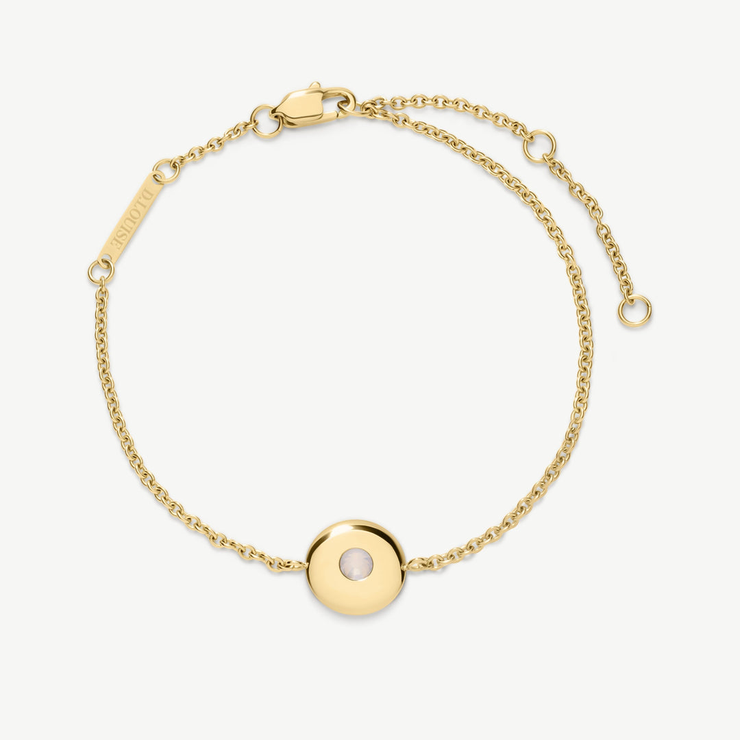 Niche Jewellery gold chain bracelet with a round birthstone charm, adjustable clasp, and D.Louise logo tag. Waterproof stainless steel.