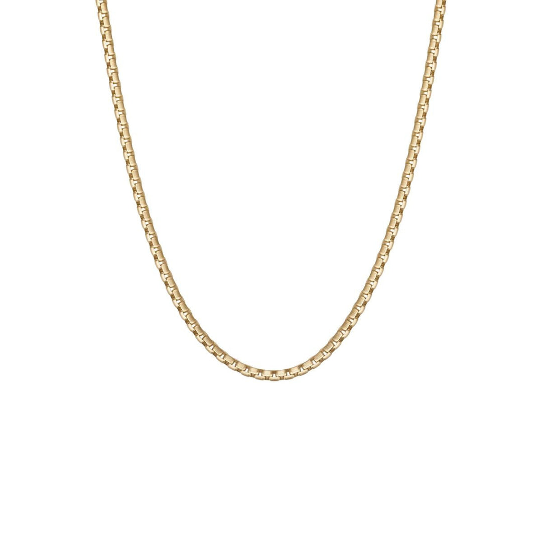 Niche Jewellery Steel & Barnett thin gold box chain necklace made of 18K gold plated stainless steel