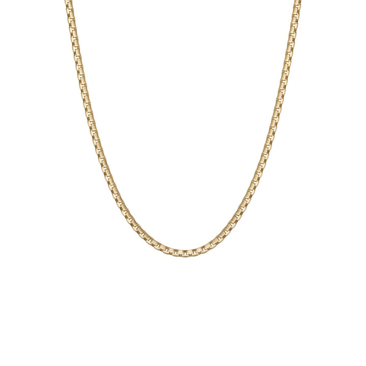 Niche Jewellery Steel & Barnett thin gold box chain necklace made of 18K gold plated stainless steel