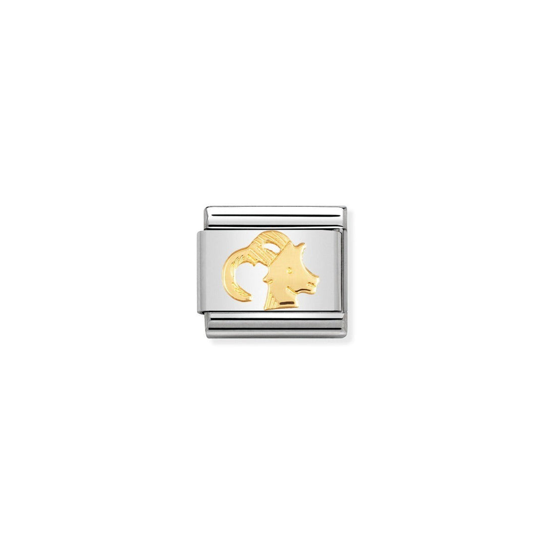 Niche Jewellery stainless steel and 18k gold Capricorn zodiac charm with sea goat symbol.