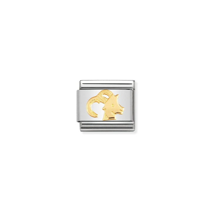 Niche Jewellery stainless steel and 18k gold Capricorn zodiac charm with sea goat symbol.