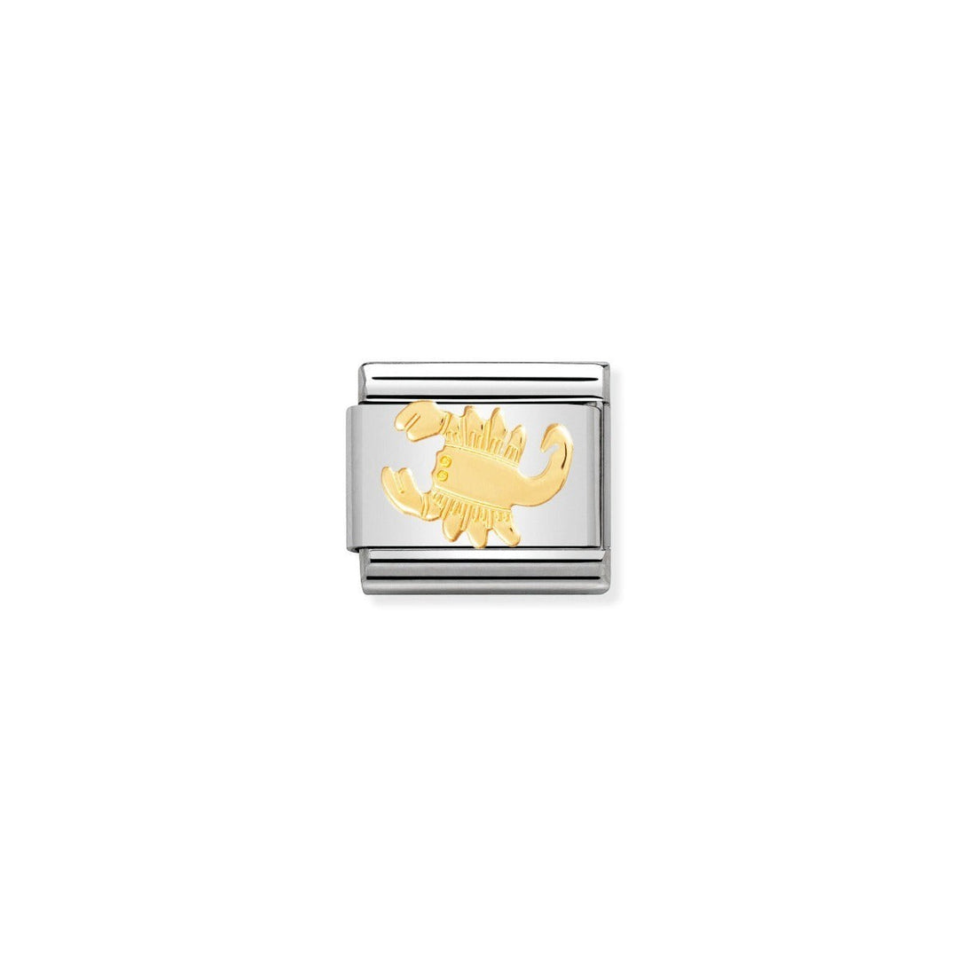 Niche Jewellery stainless steel charm with 18k gold Scorpio zodiac symbol. For people born Oct 23-Nov 21.