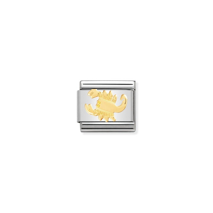 Niche Jewellery stainless steel charm with 18k gold Scorpio zodiac symbol. For people born Oct 23-Nov 21.