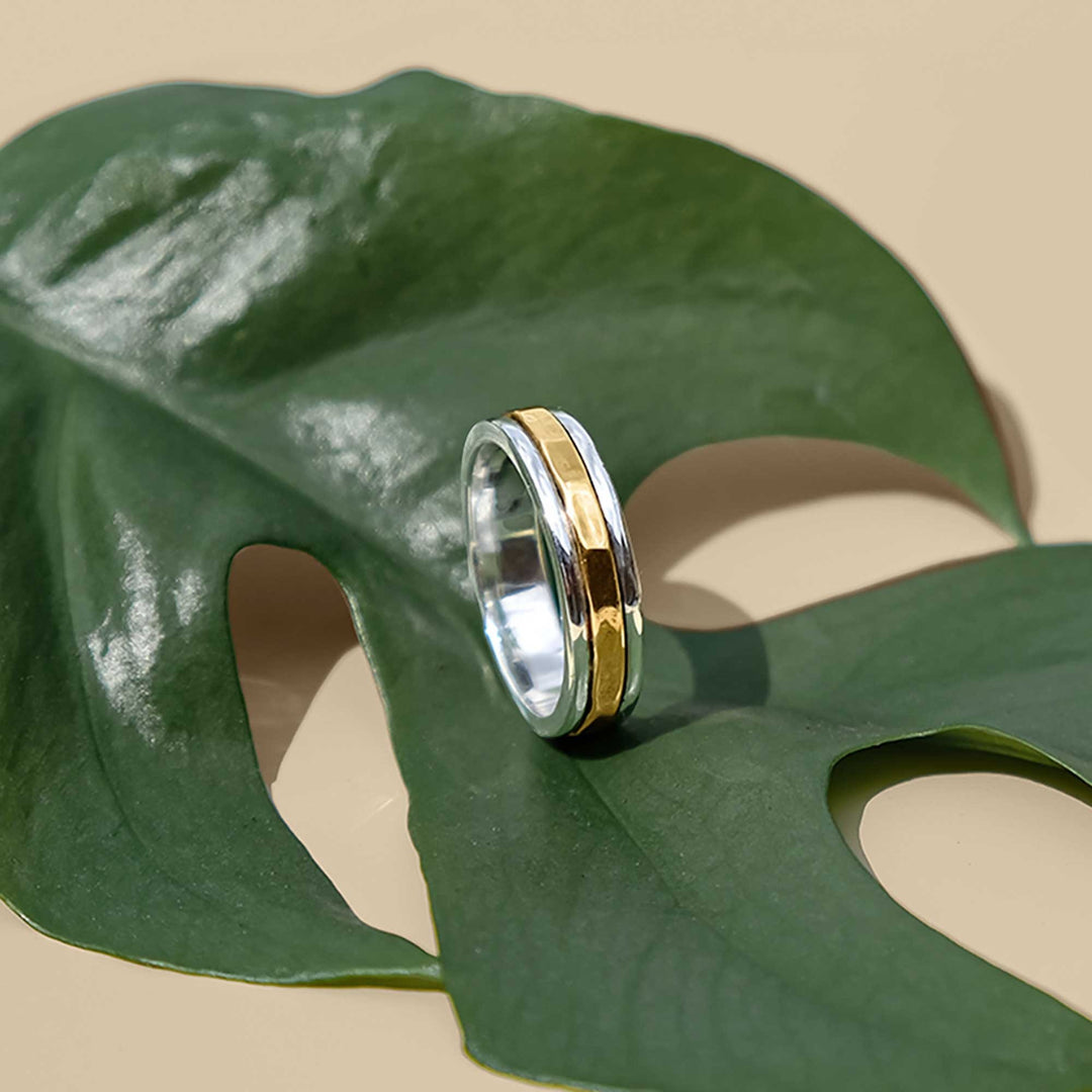 Niche Jewellery Charlotte's Web Karma Fortune unisex spinning ring in mixed recycled silver and gold metals.