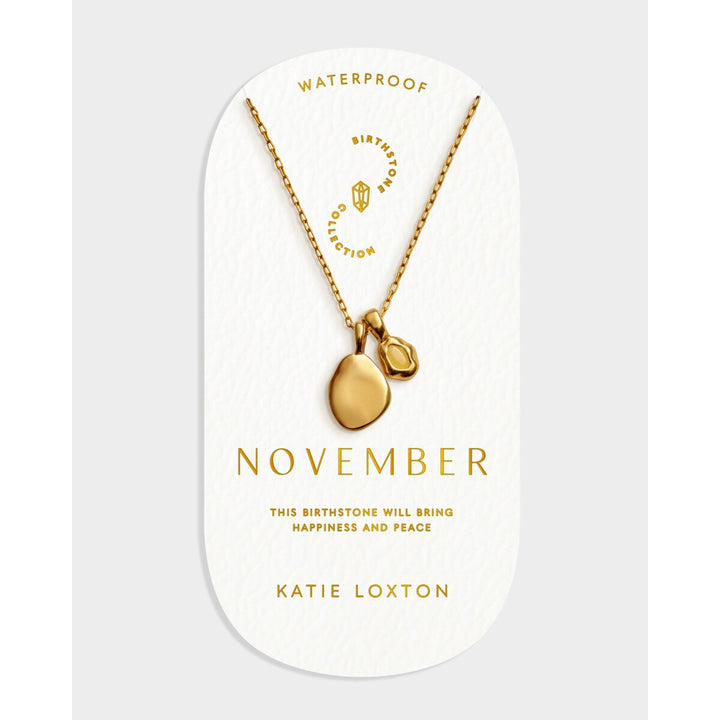 Niche Jewellery Katie Loxton November gold-tone waterproof birthstone necklace on a branded display card.