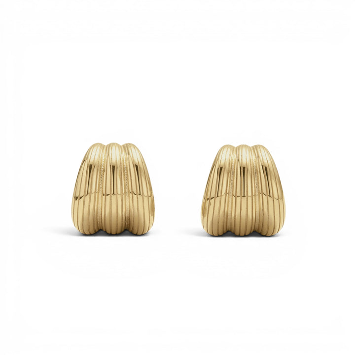 D.Louise Ribbed Small Gold Hoop Earrings
