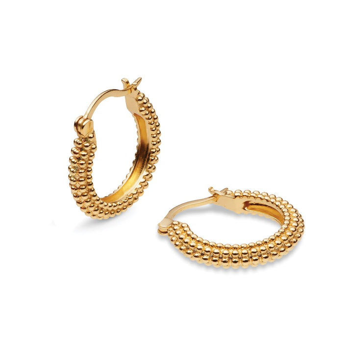 Sarah Alexander Samara Bobble Hoop Earrings