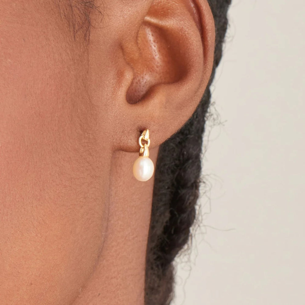 Ania Haie Gold Pearl Drop Stud Earrings - E043-02G