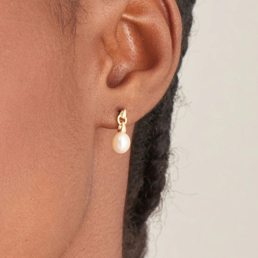 Ania Haie Gold Pearl Drop Stud Earrings - E043-02G