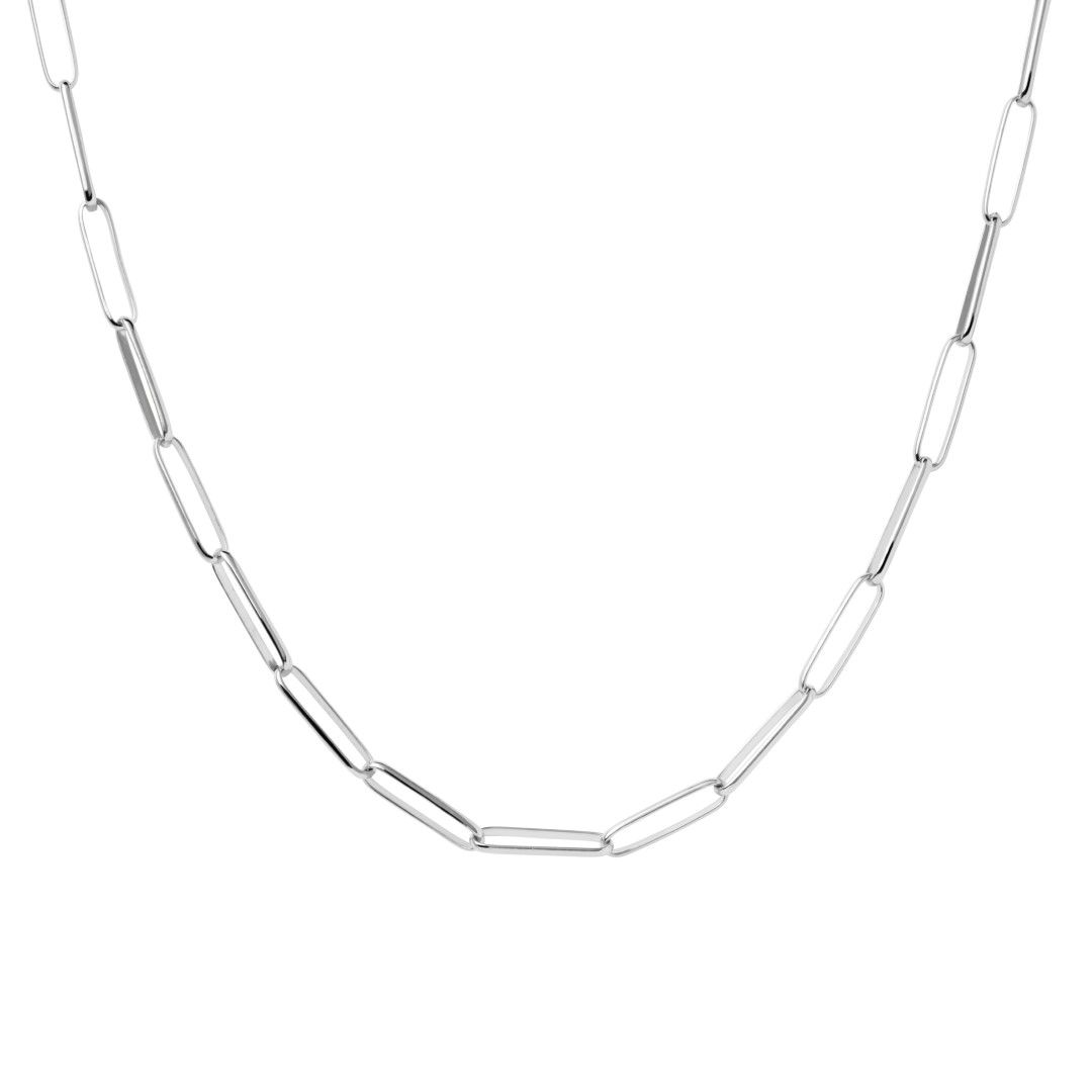 Big Statement Chain Silver Necklace - PDPAOLA