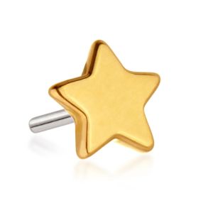 Tish Lyon 14ct Yellow Gold Star Threadless Labret Single Earring